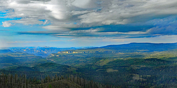 Dixie Forest - Cedar Canyon overlook (30x60 - Copy