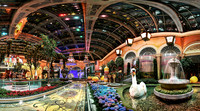 Hospitality - Bellagio Conservatory