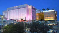 Resort - Flamingo