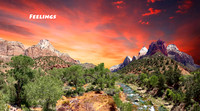 Landscape - (1)