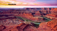 Landscape - (3)