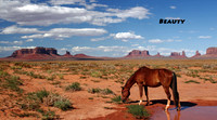 Landscape - (7)