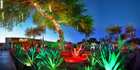 Las Vegas - Ethel M Chocolates (30x60)