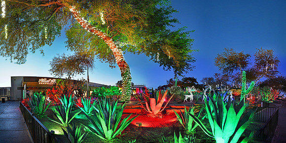 Las Vegas - Ethel M Chocolates (30x60)