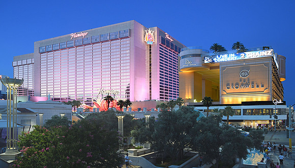 Resorts - Flamingo (24x42)