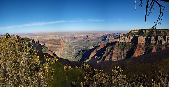 Grand Canyon - Roosevelt Point (30x58)