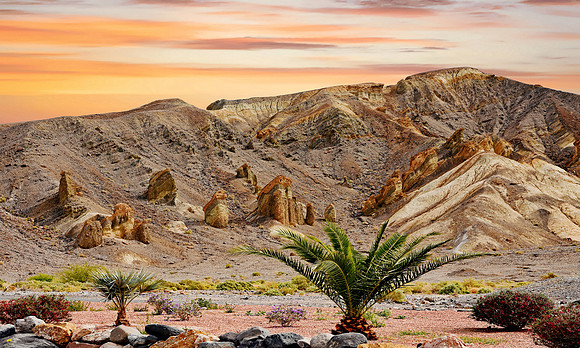 Death Valley - Furnace Creek (24x40)