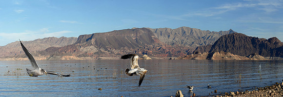 Lake Mead - Sunset View (24x80)