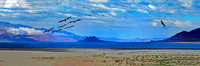 Pyramid Lake - Black Rock Desert (24x72)