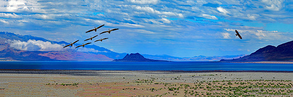 Pyramid Lake - Black Rock Desert (24x72)