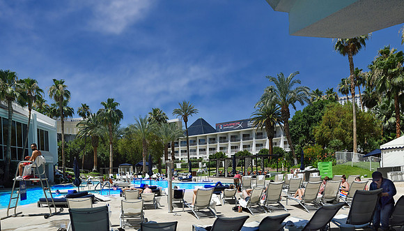 Resorts - Tropicana pool (24x42)
