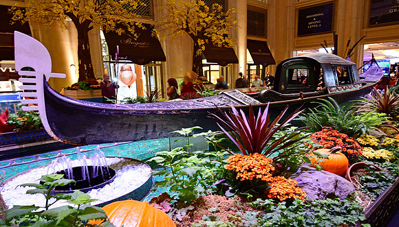 Resorts - Palazzo Fall (24x42)