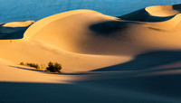 Death Valley - Sand Dunes (24x42)
