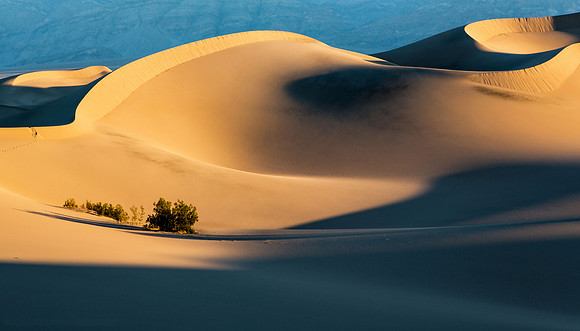 Death Valley - Sand Dunes (24x42)