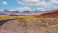 Corkscrew Point (spring bloom) (24x42)