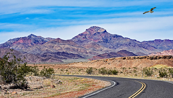 Death Valley - Corkscrew Point (24x42)