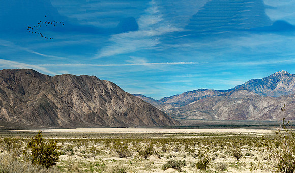 California - Anza-Borrego Deset L (24x41)