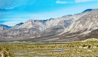 California - Anza-Borrego Deset R (24x41)