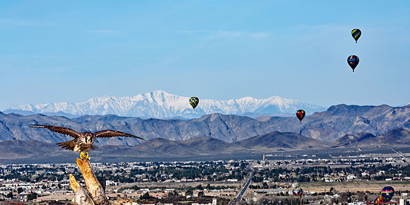 Nevada - Pahrump Valley (24x48)