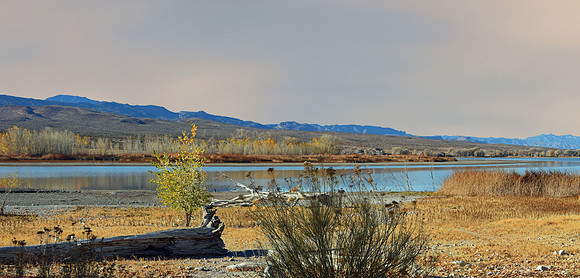 Pahranagat National Wildlife Refuge L (24x50)