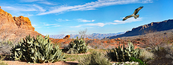 Valley of Fire - Lake Mead SP (24x64)