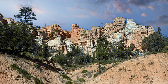 Dixie National Forest 8 (24x48)