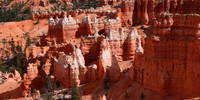 Bryce Canyon - Inspiration Point (24x48)