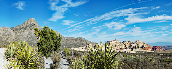 Red Rock - State Park 4 (24x60)