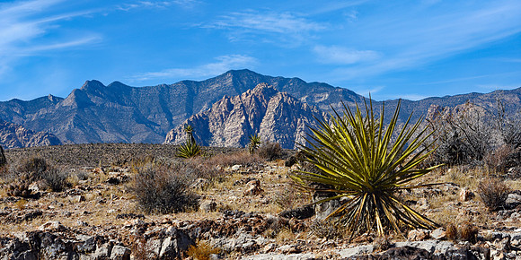 Red Rock - State Park 8 (24x48)