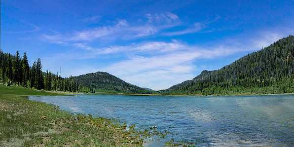 Dixie Forest - Navajo Lake 1 (24x42)