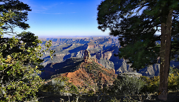 Grand Canyon North Rim - Point Imperial (24x42)