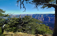 Grand Canyon - North Rim (30x48)