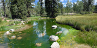 Dixie Forest - Duck Creek pond (30x60)