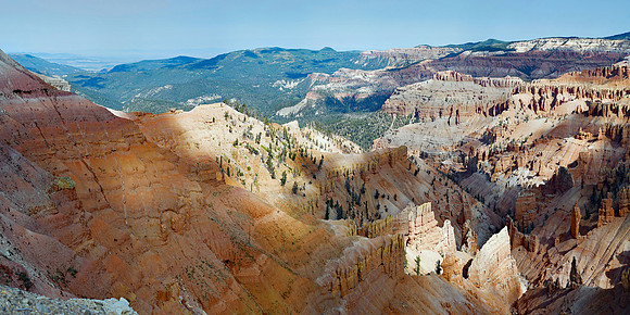 Dixie Forest -Cedar Breaks (30x60)