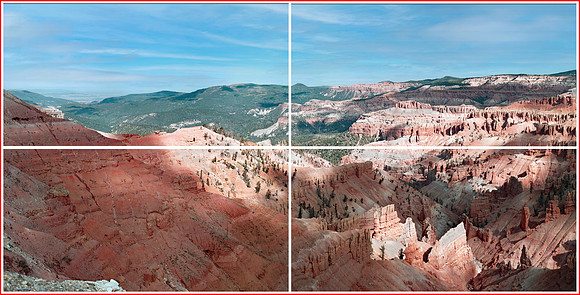 Dixie Forest -Cedar Breaks (60x120) 4 sections