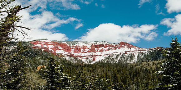 Cedar Mountain - Goosberry Point (24x48)