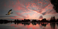 Las Vegas - Sunset Park dawn (24x48)