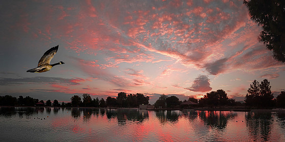 Las Vegas - Sunset Park dawn (24x48)